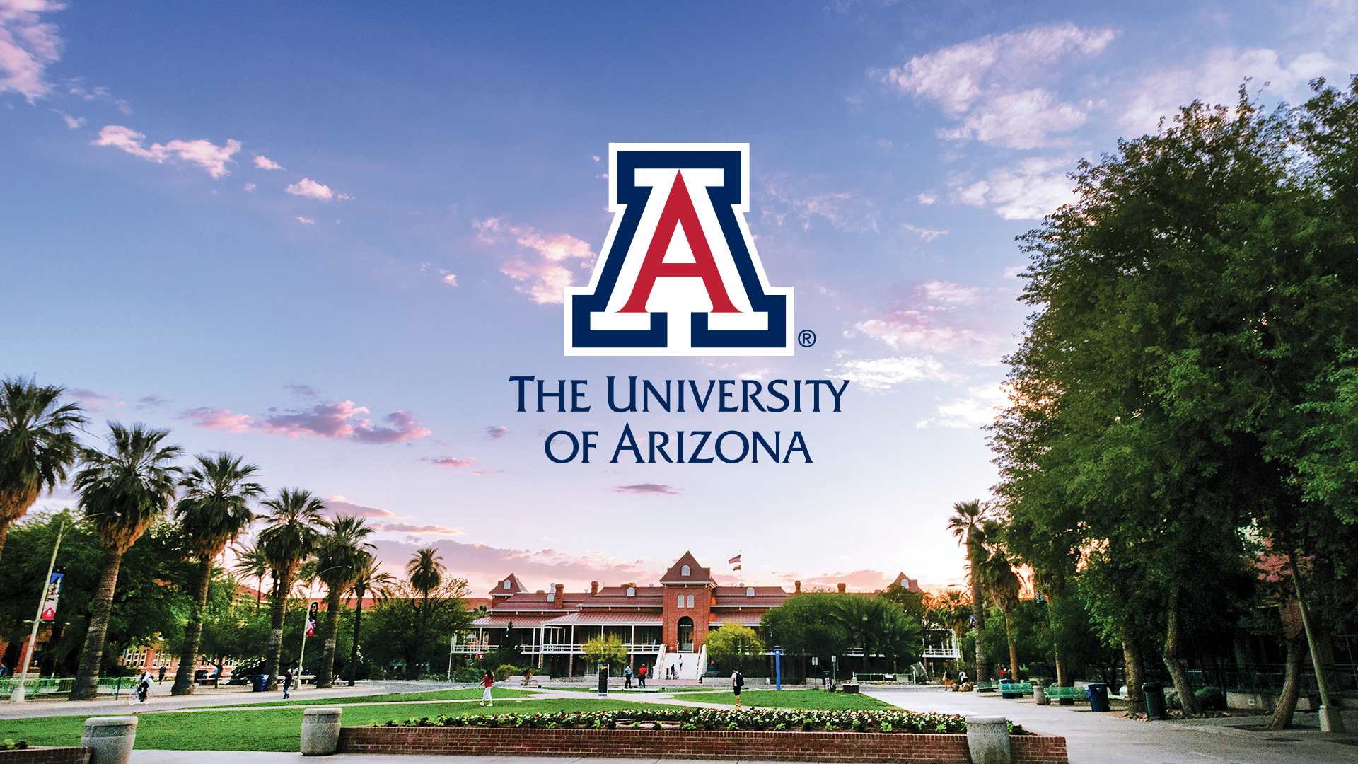 U Of A Wallpapers