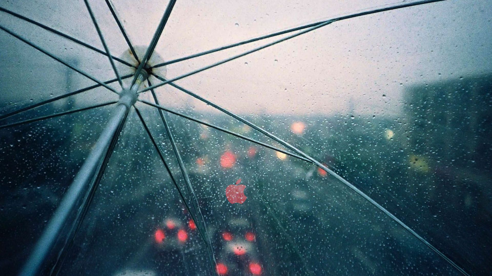 Umbrella Wallpapers