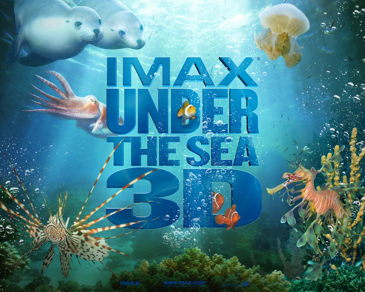 Under The Sea Wallpapers