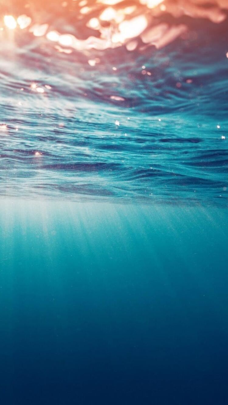 Underwater Ocean Iphone Wallpapers