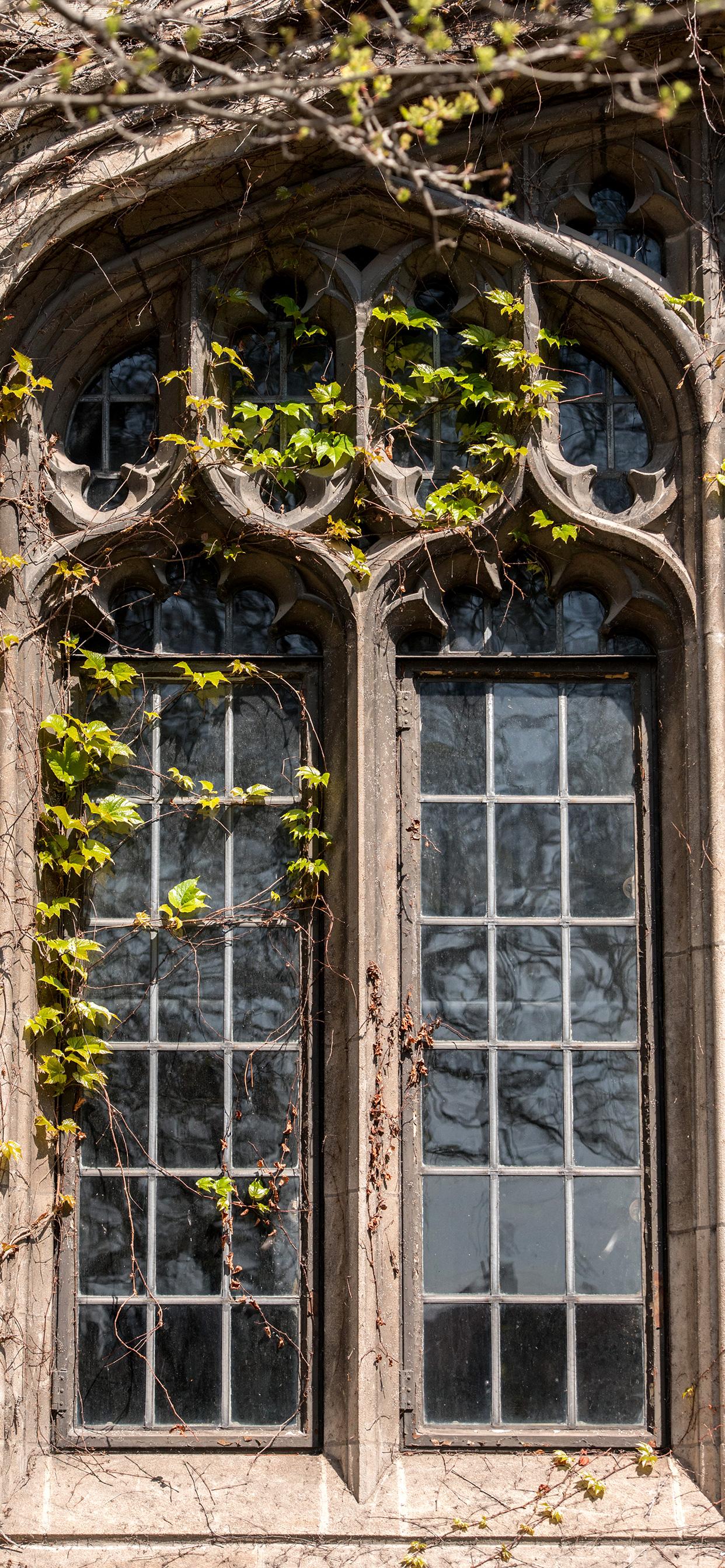 University Of Chicago Wallpapers