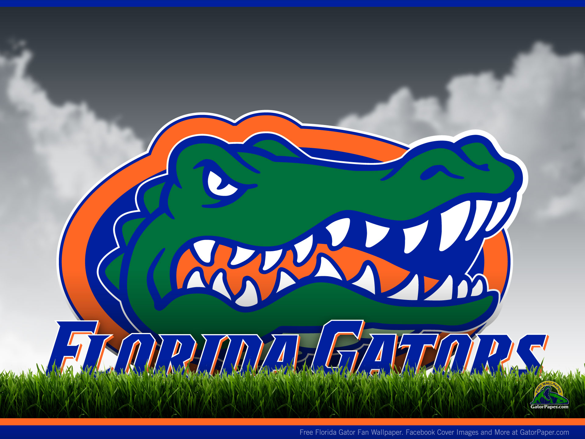 University Of Florida Wallpapers