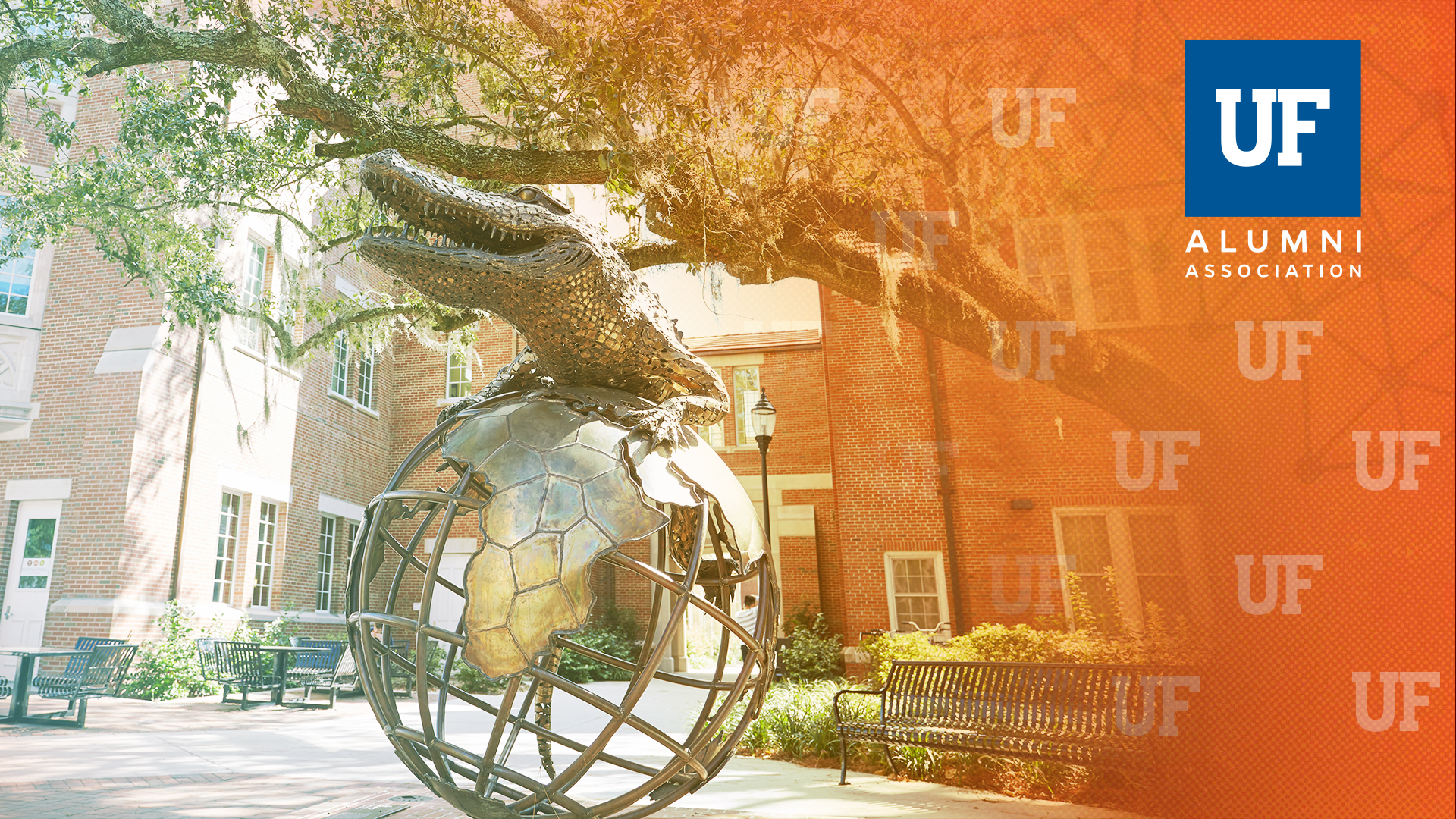 University Of Florida Wallpapers