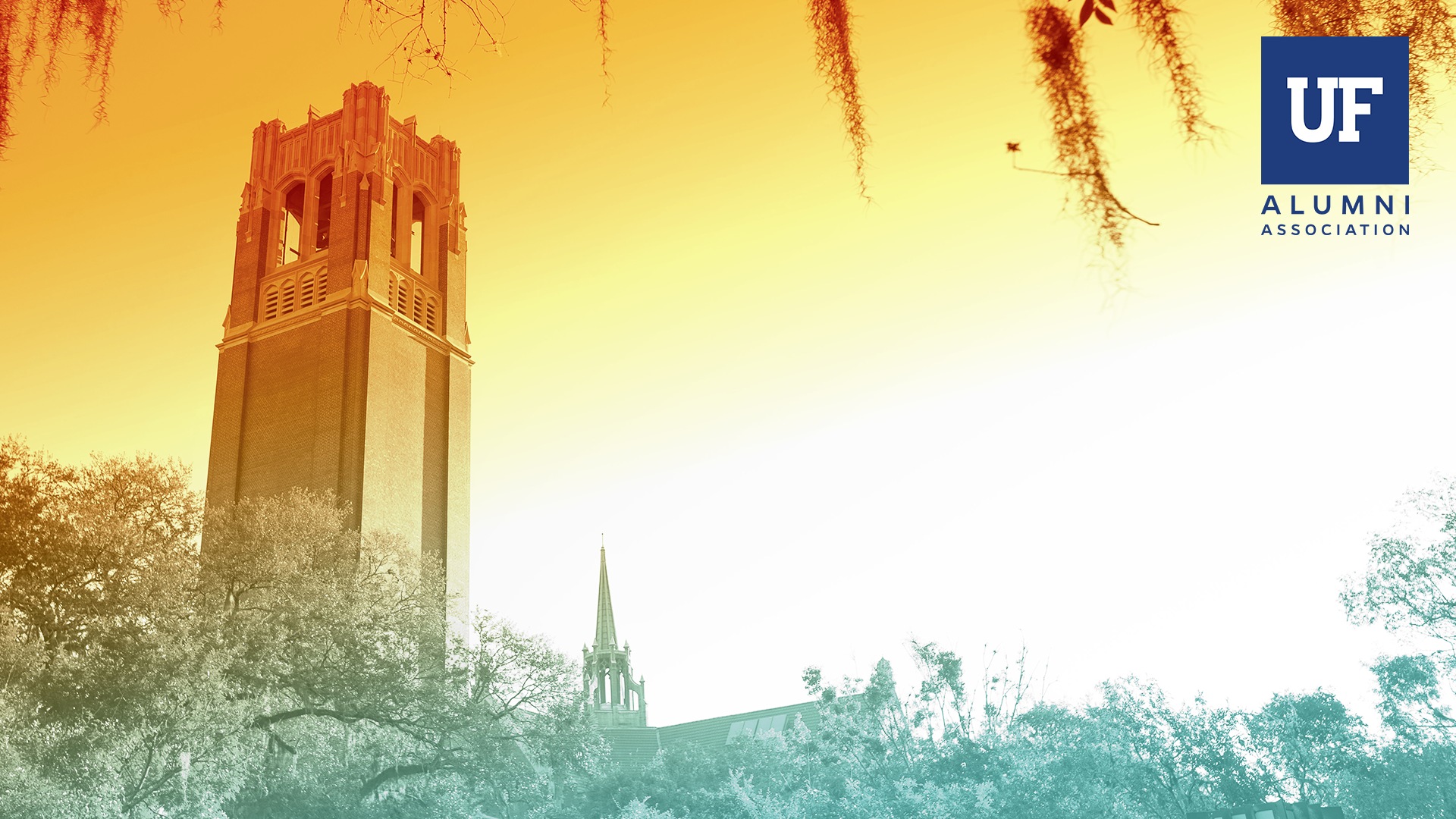 University Of Florida Wallpapers