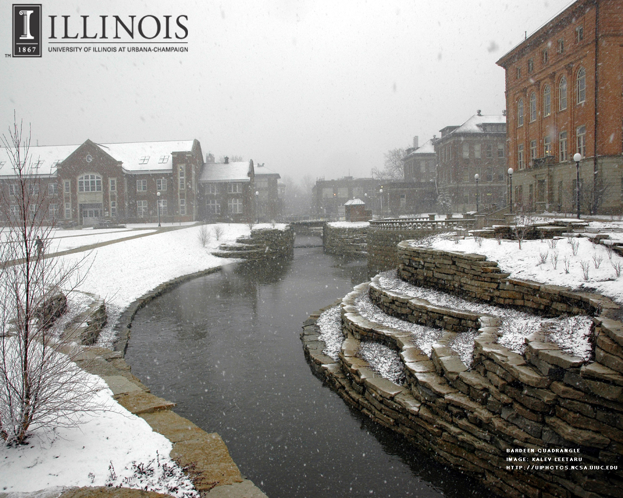 University Of Illinois Wallpapers