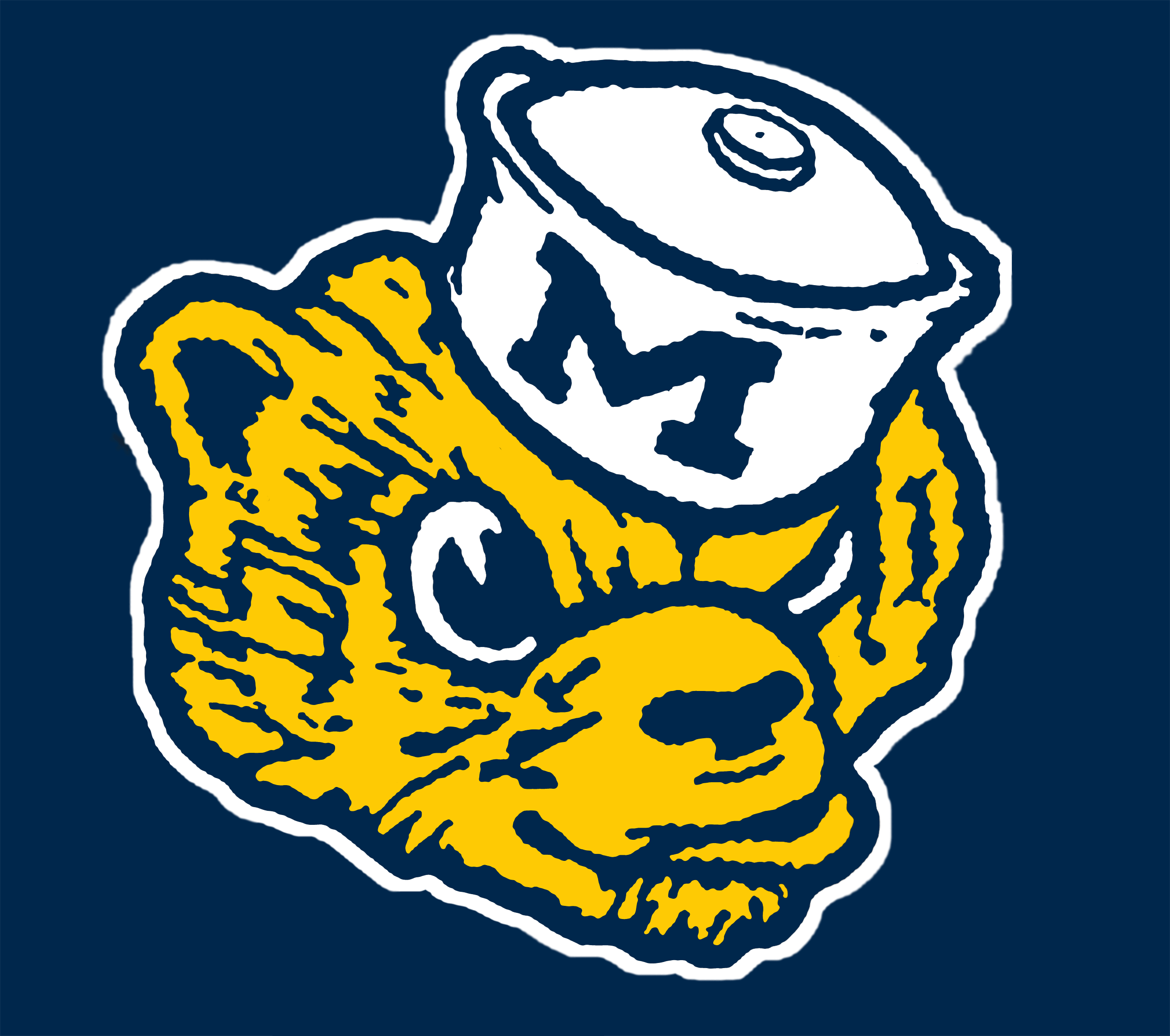 University Of Michigan Wallpapers