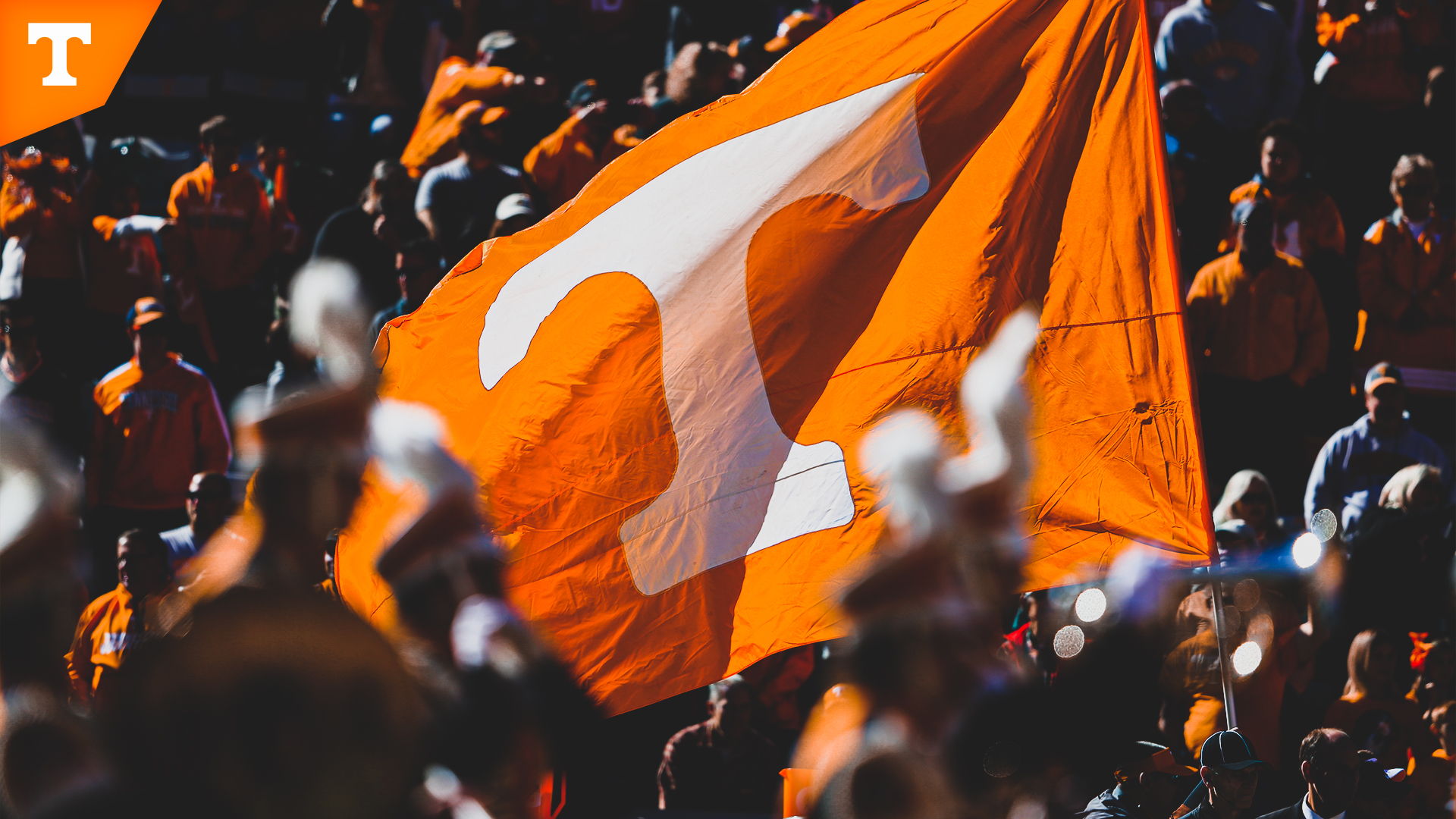 University Of Tn Wallpapers