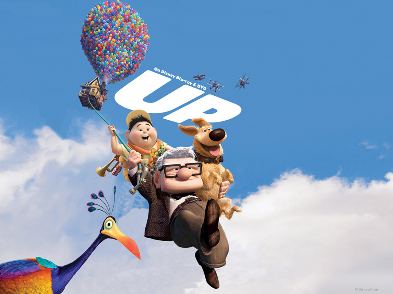 Up Movie Images Wallpapers