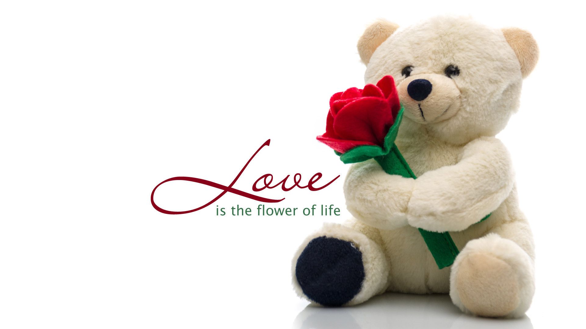 Valentine Bear Images Wallpapers