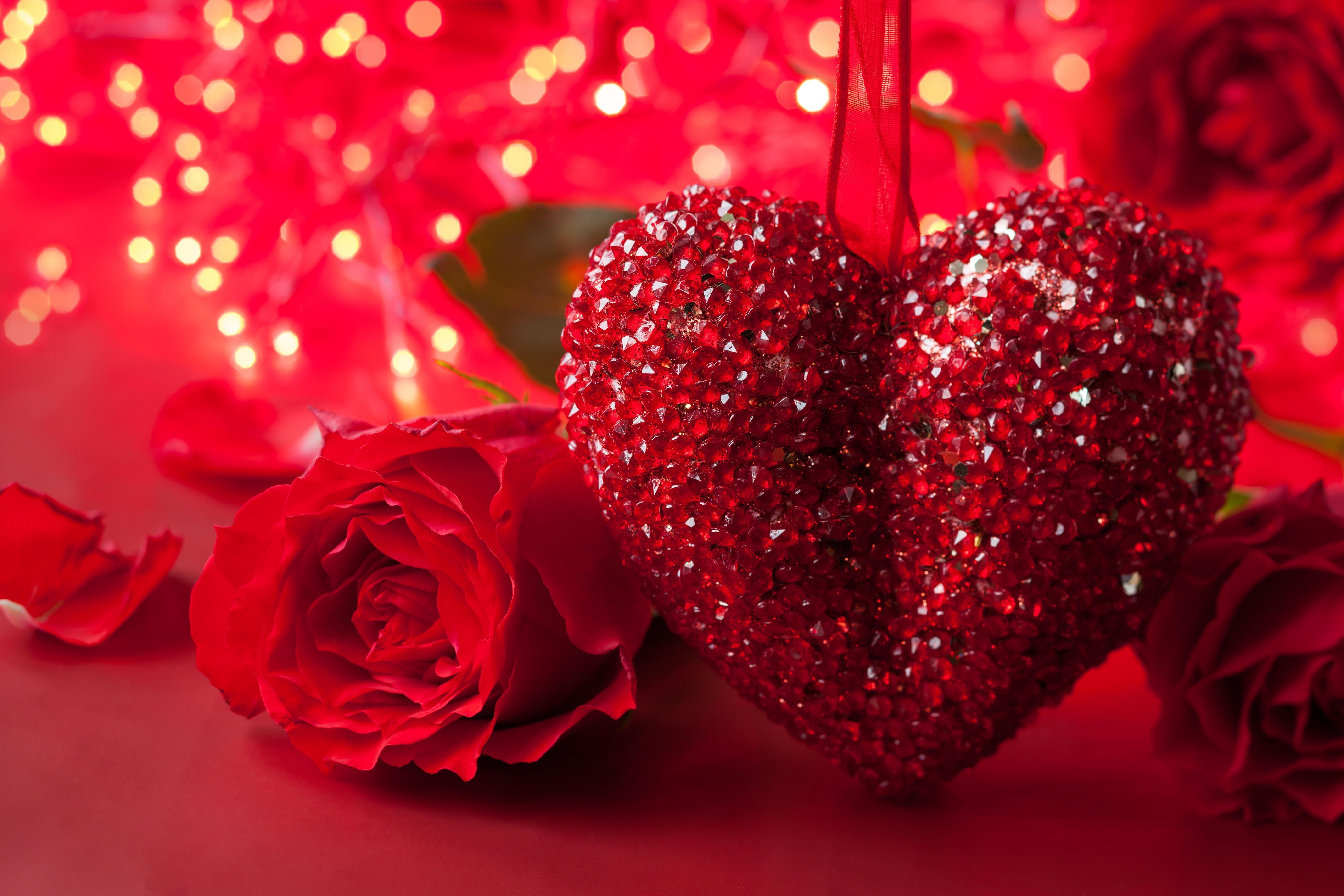 Valentine Flower Picture Wallpapers