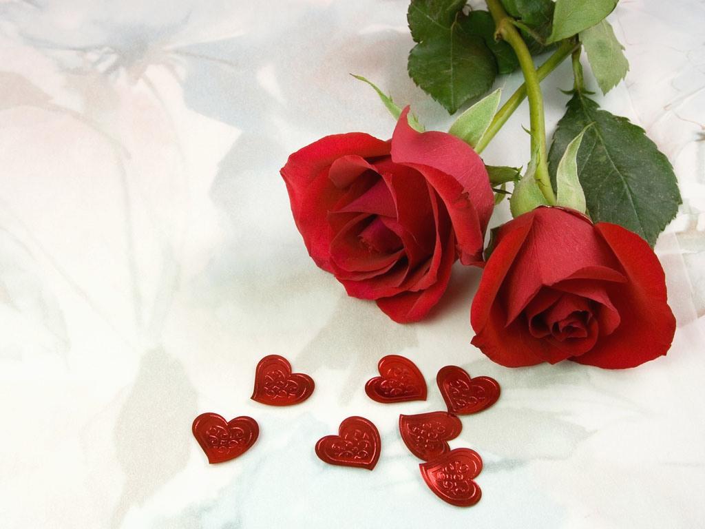 Valentine Flower Picture Wallpapers