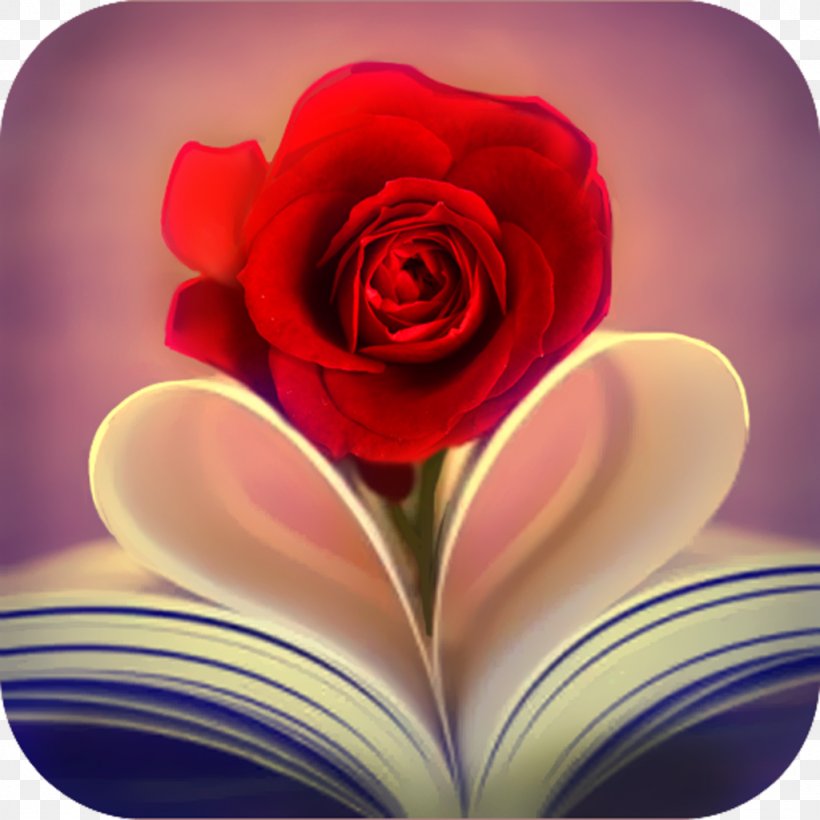 Valentine Flower Picture Wallpapers