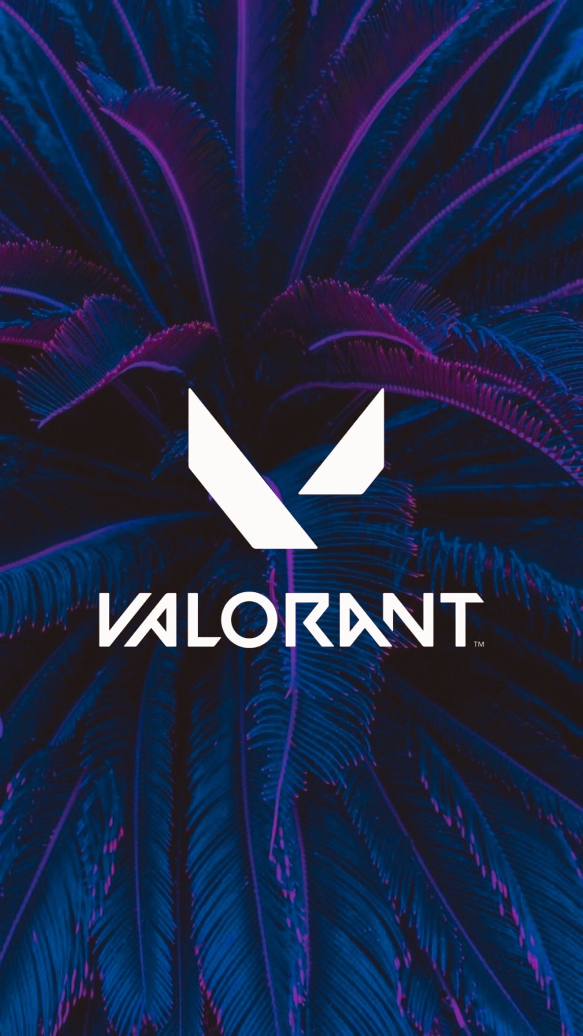 Valorant Blue Wallpapers