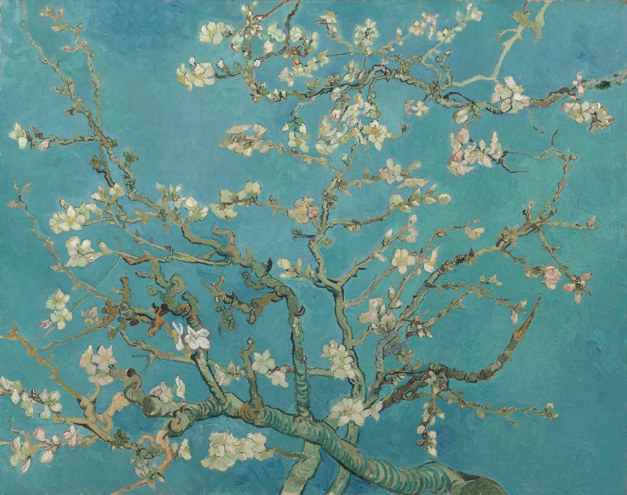 Van Gogh Blossoming Almond Trees Wallpapers