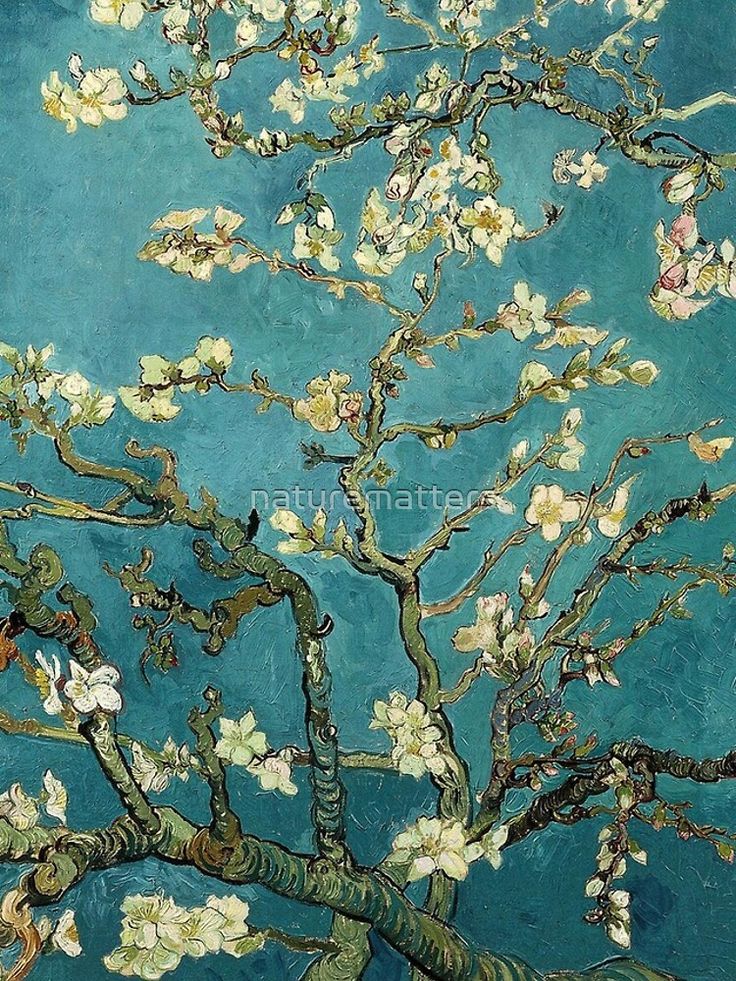 Van Gogh Blossoming Almond Trees Wallpapers