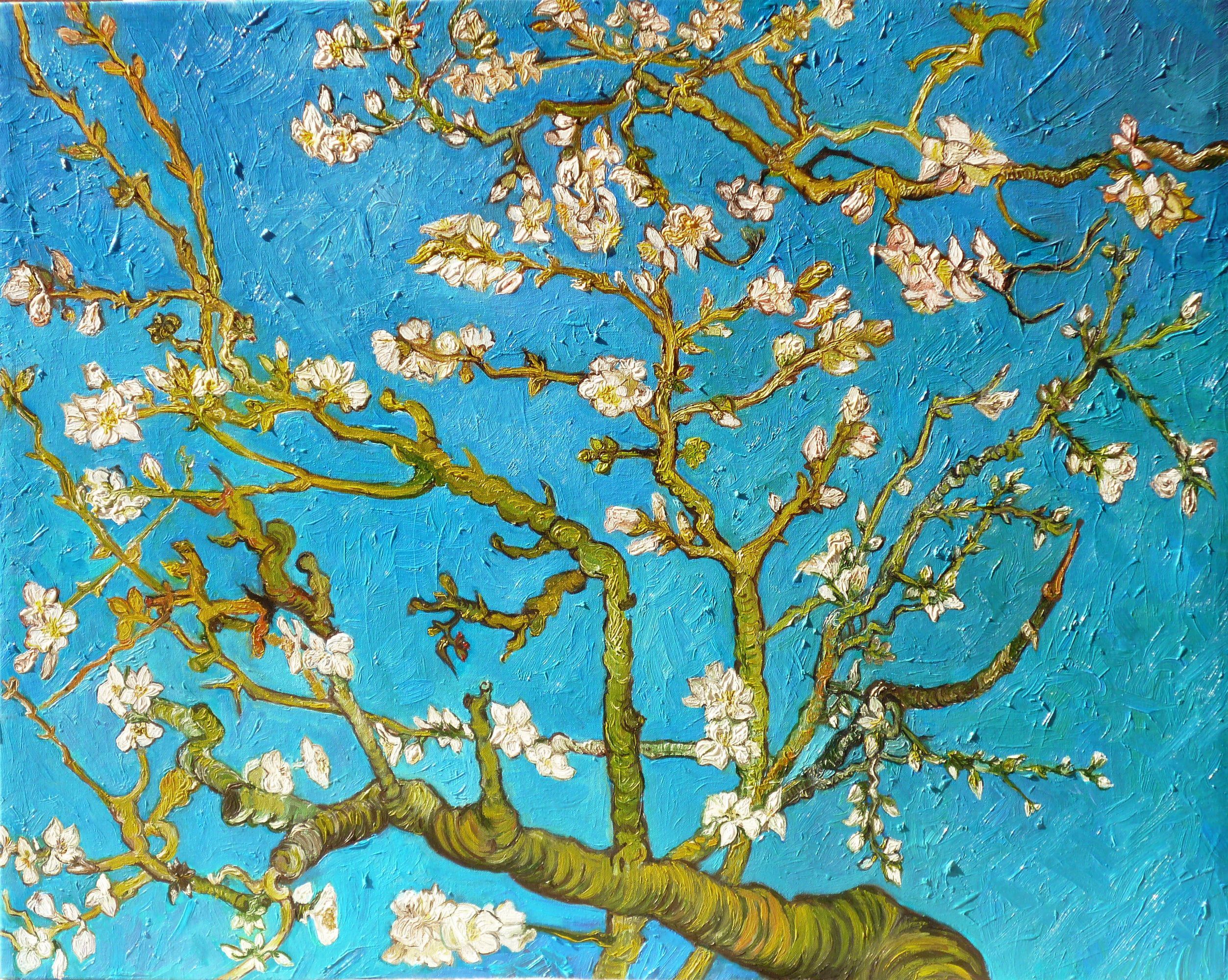 Van Gogh Blossoming Almond Trees Wallpapers