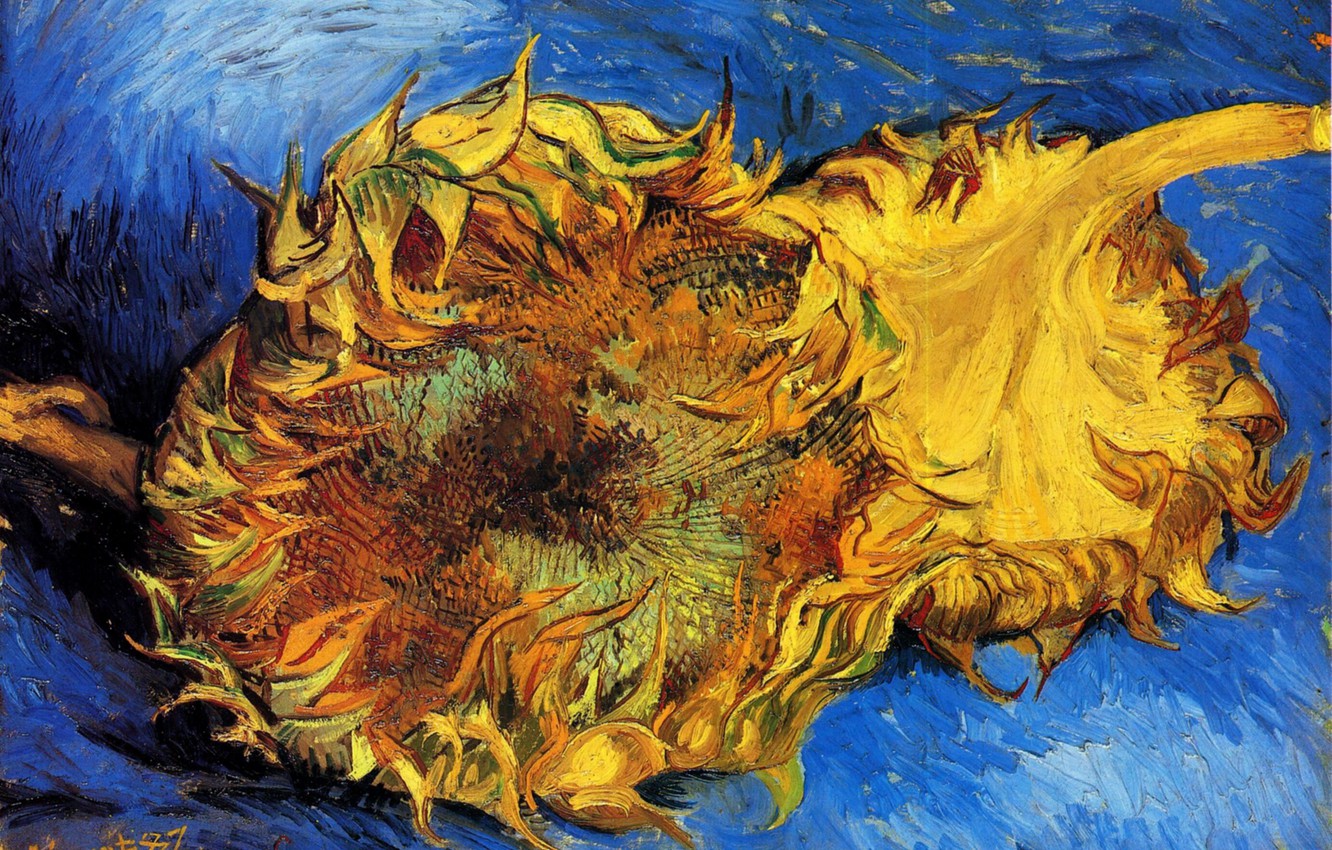 Van Gogh Sunflowers Iphone Wallpapers