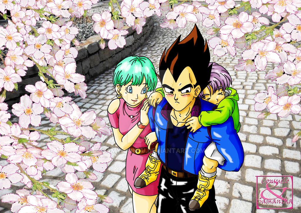 Vegeta And Bulma Wallpapers