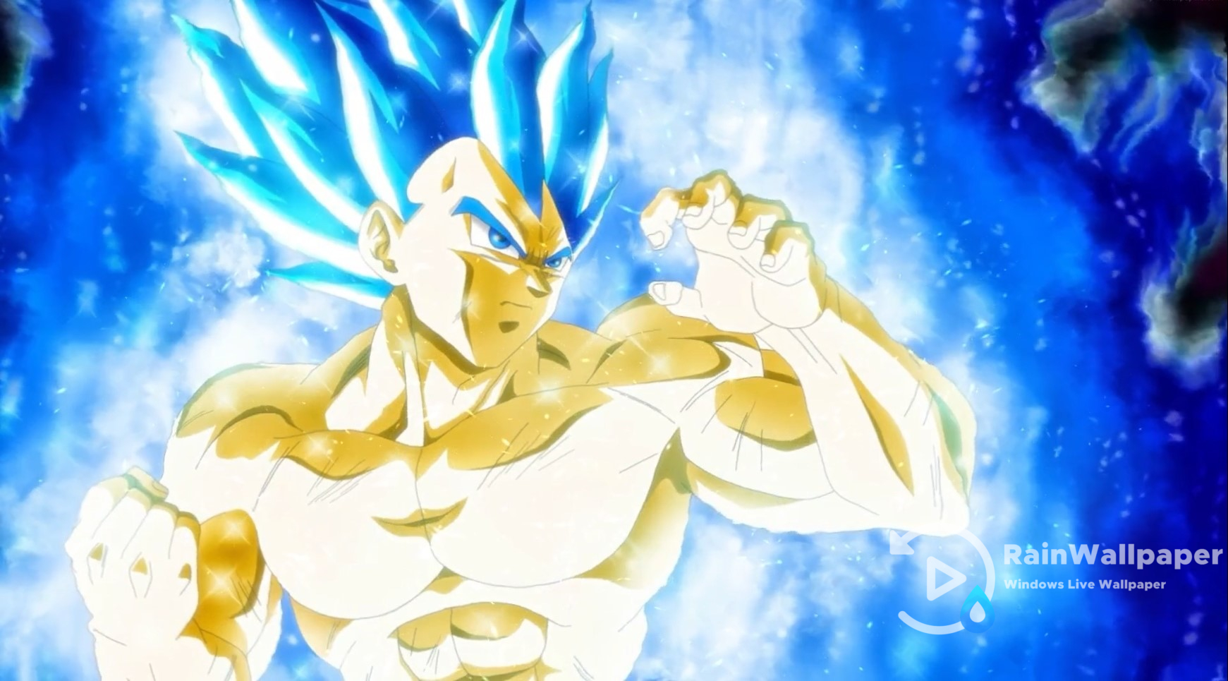 Vegeta Super Saiyan Blue Evolution Wallpapers