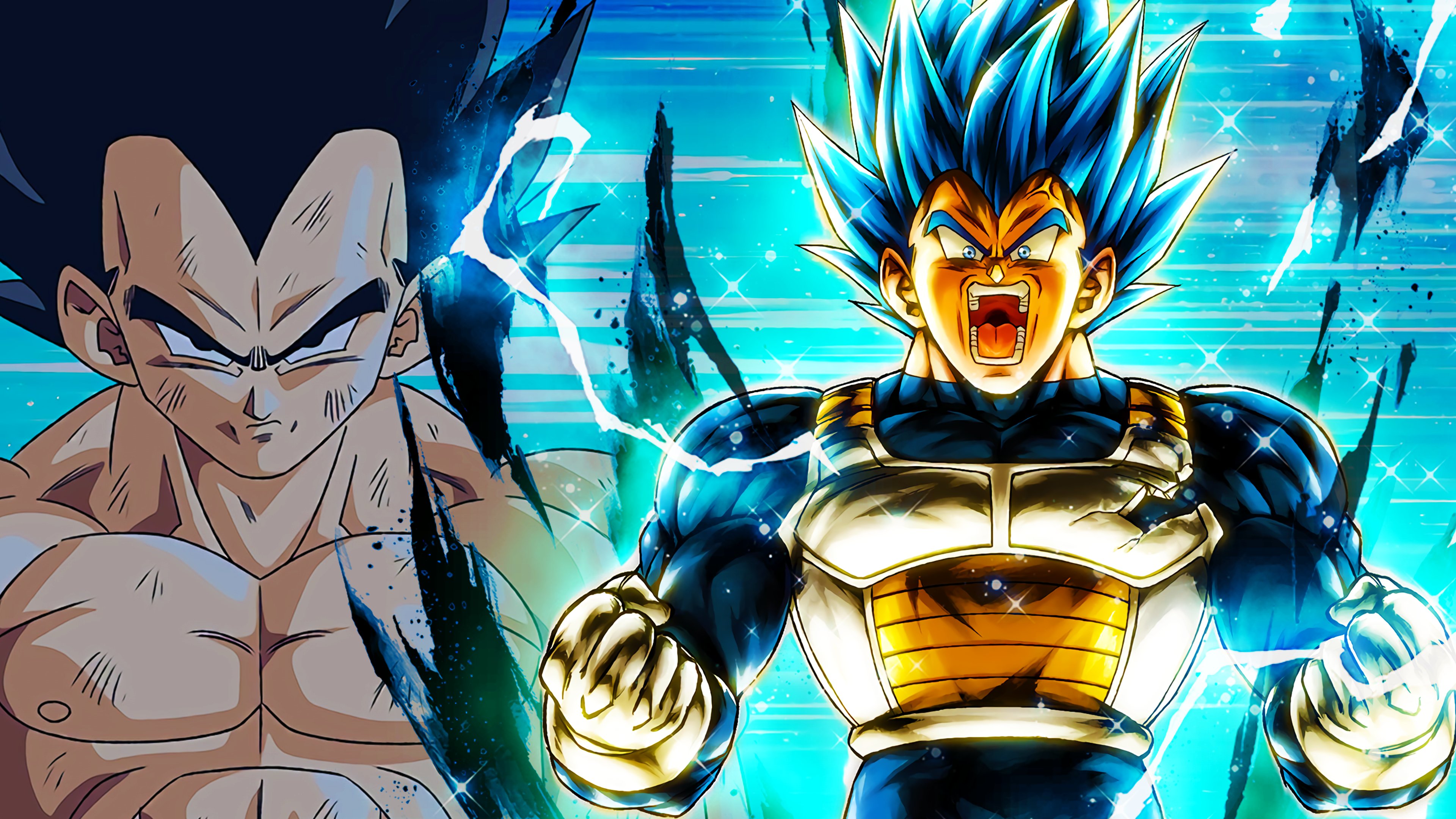 Vegeta Super Saiyan Blue Evolution Wallpapers