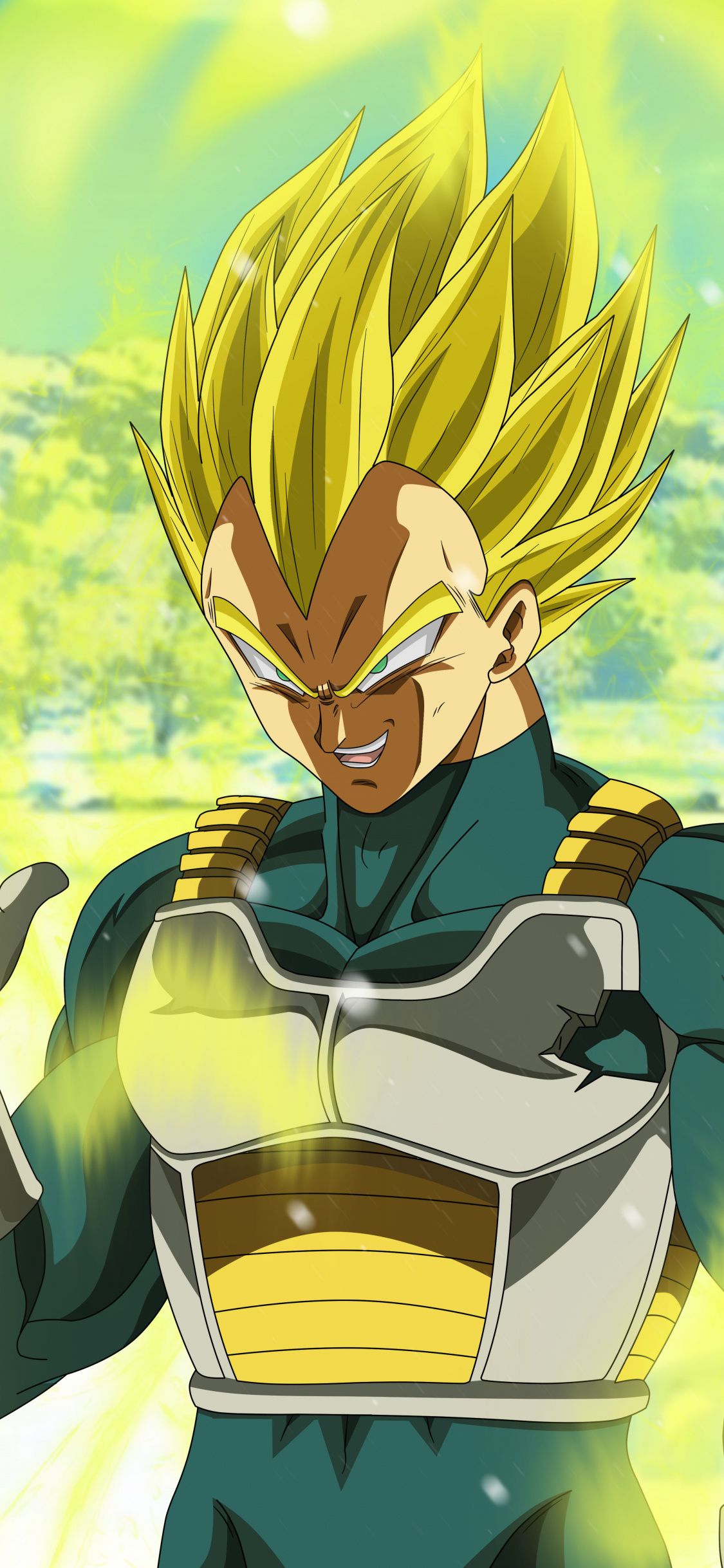 Vegeta Super Saiyan Wallpapers