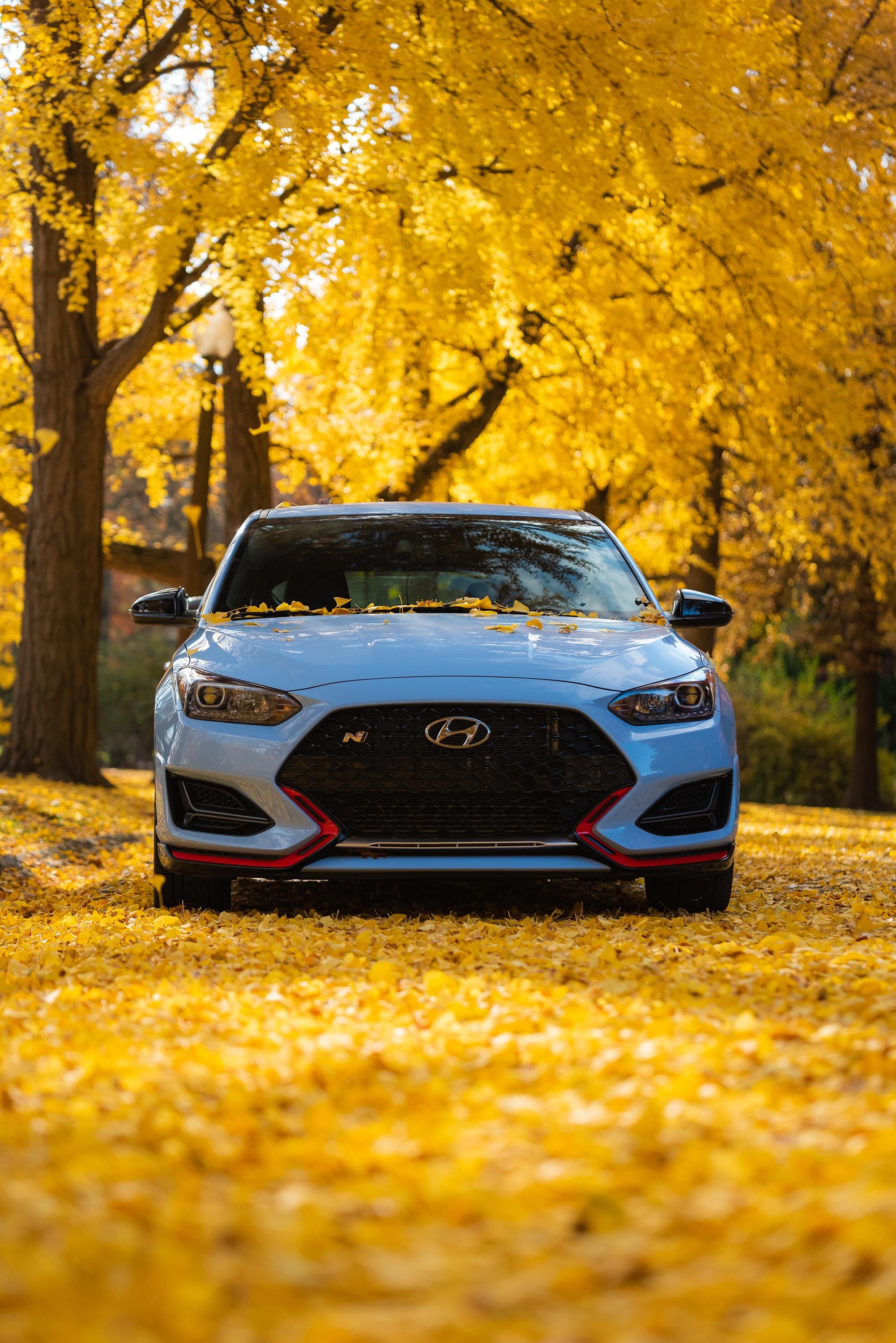 Veloster N Wallpapers