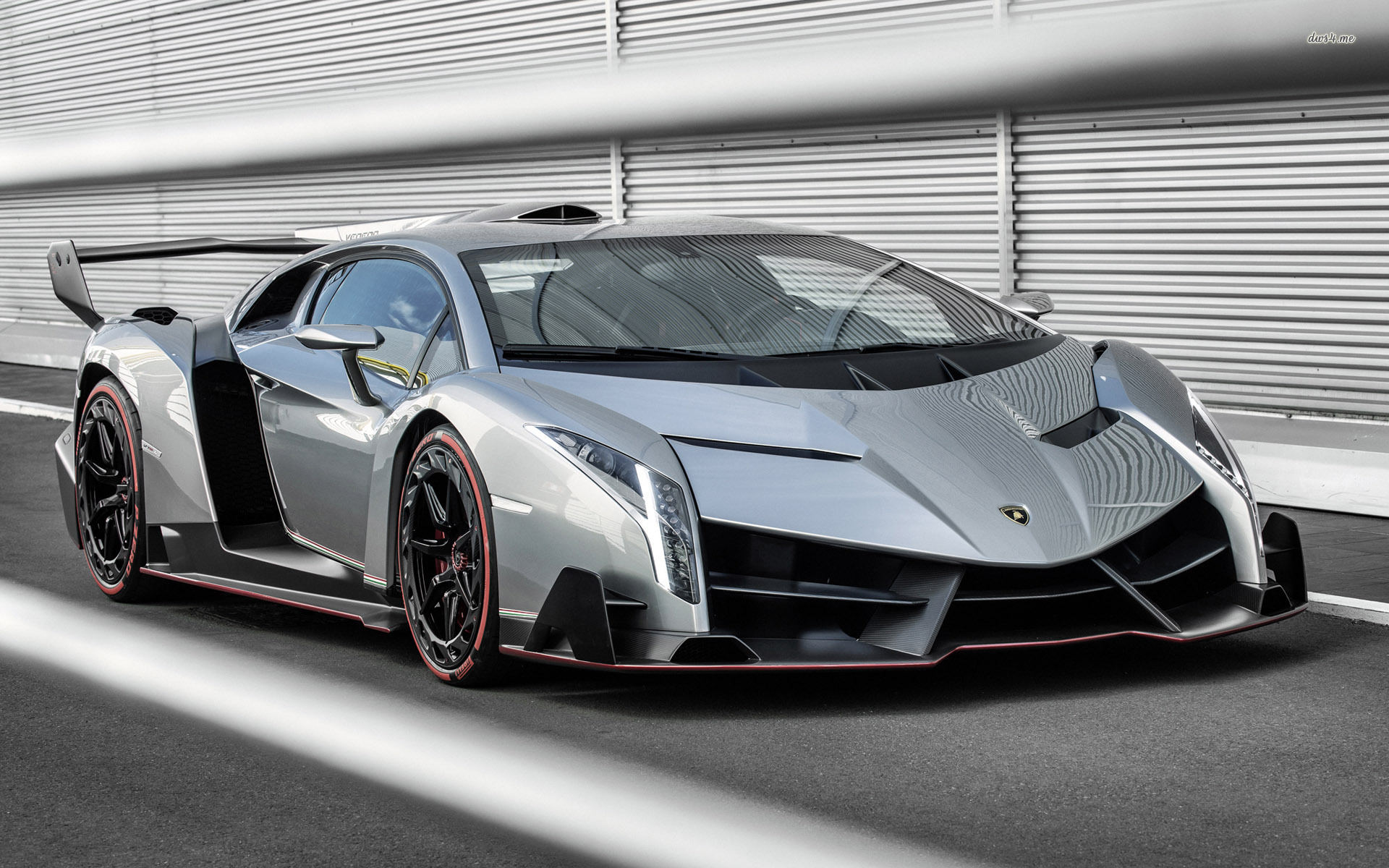 Veneno Wallpapers