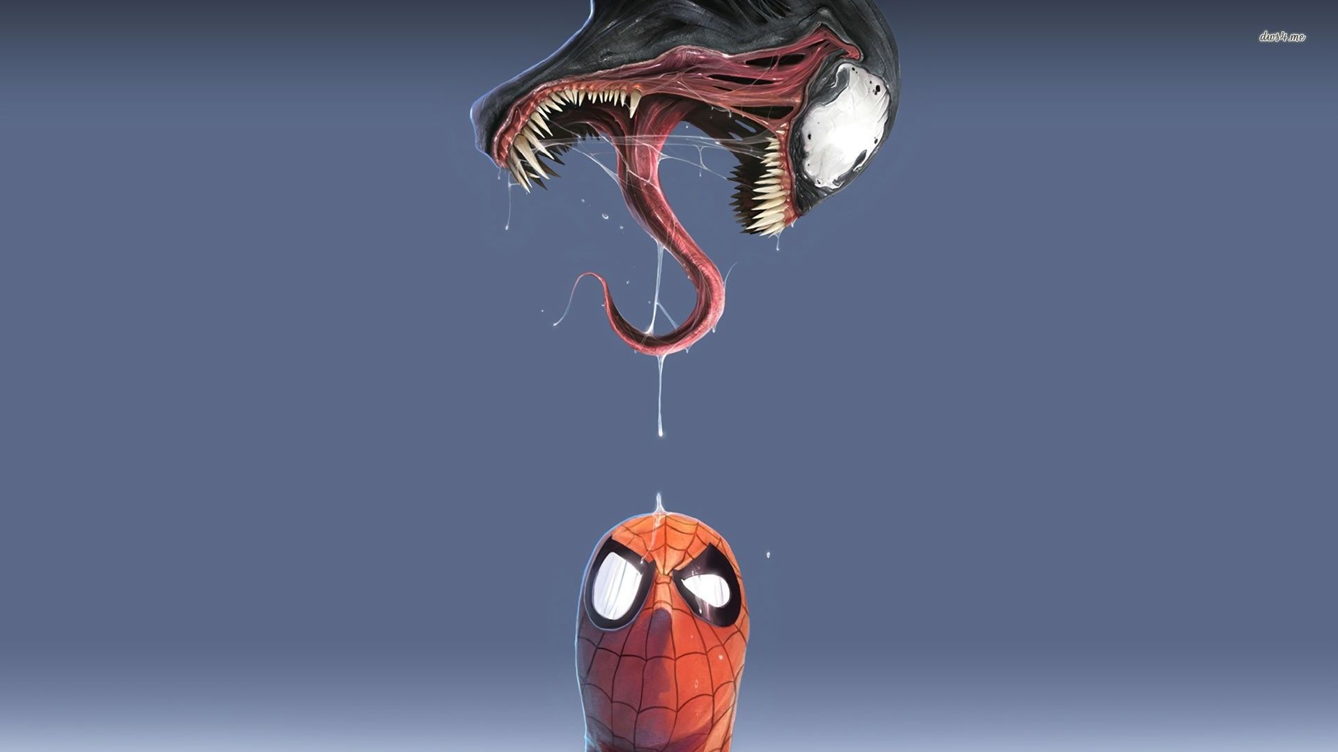 Venom Vs Spiderman Wallpapers