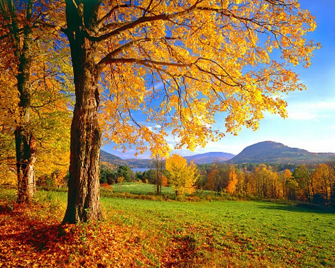 Vermont Fall Pictures Wallpapers