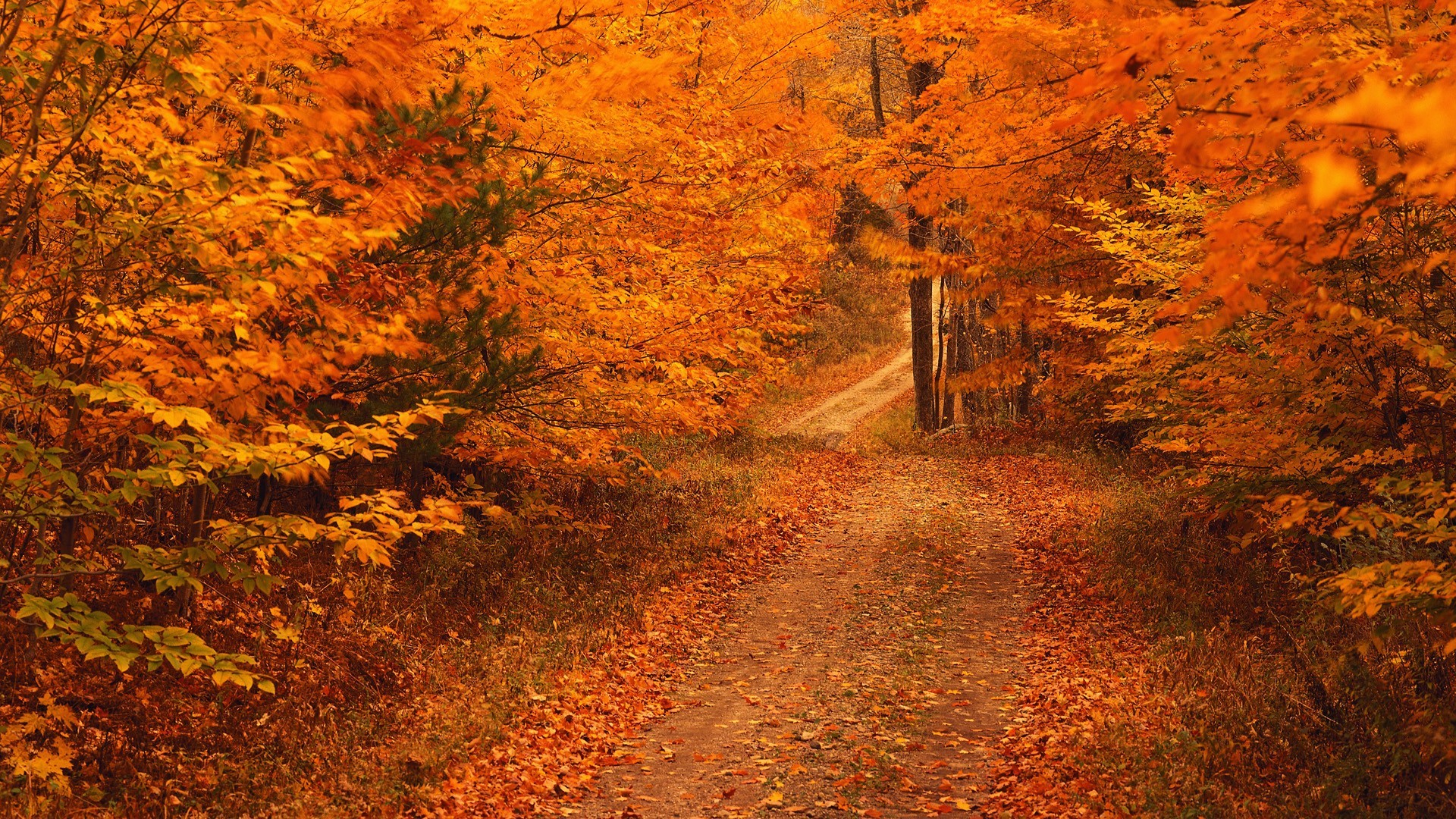 Vermont Fall Pictures Wallpapers