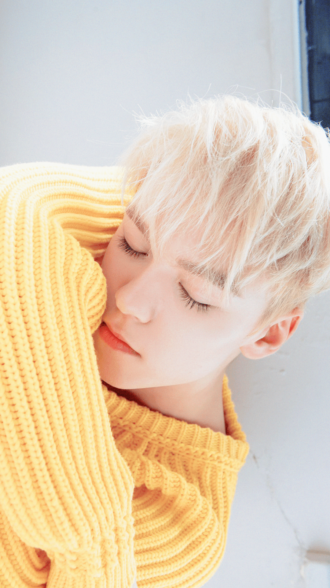 Vernon Wallpapers