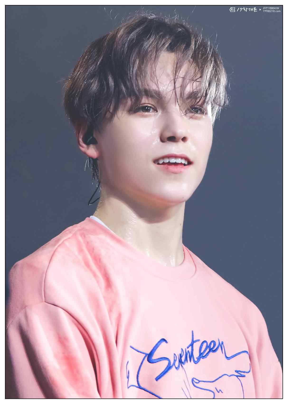 Vernon Wallpapers