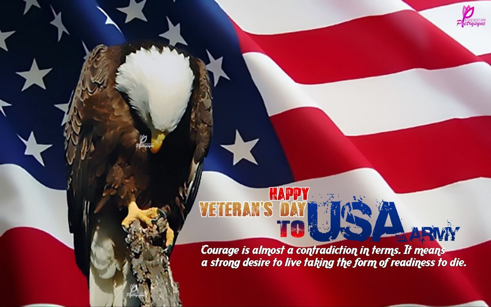 Veterans Day 2015 Wallpapers