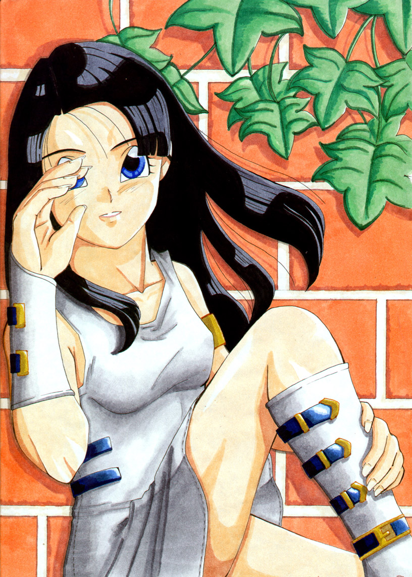 Videl Wallpapers