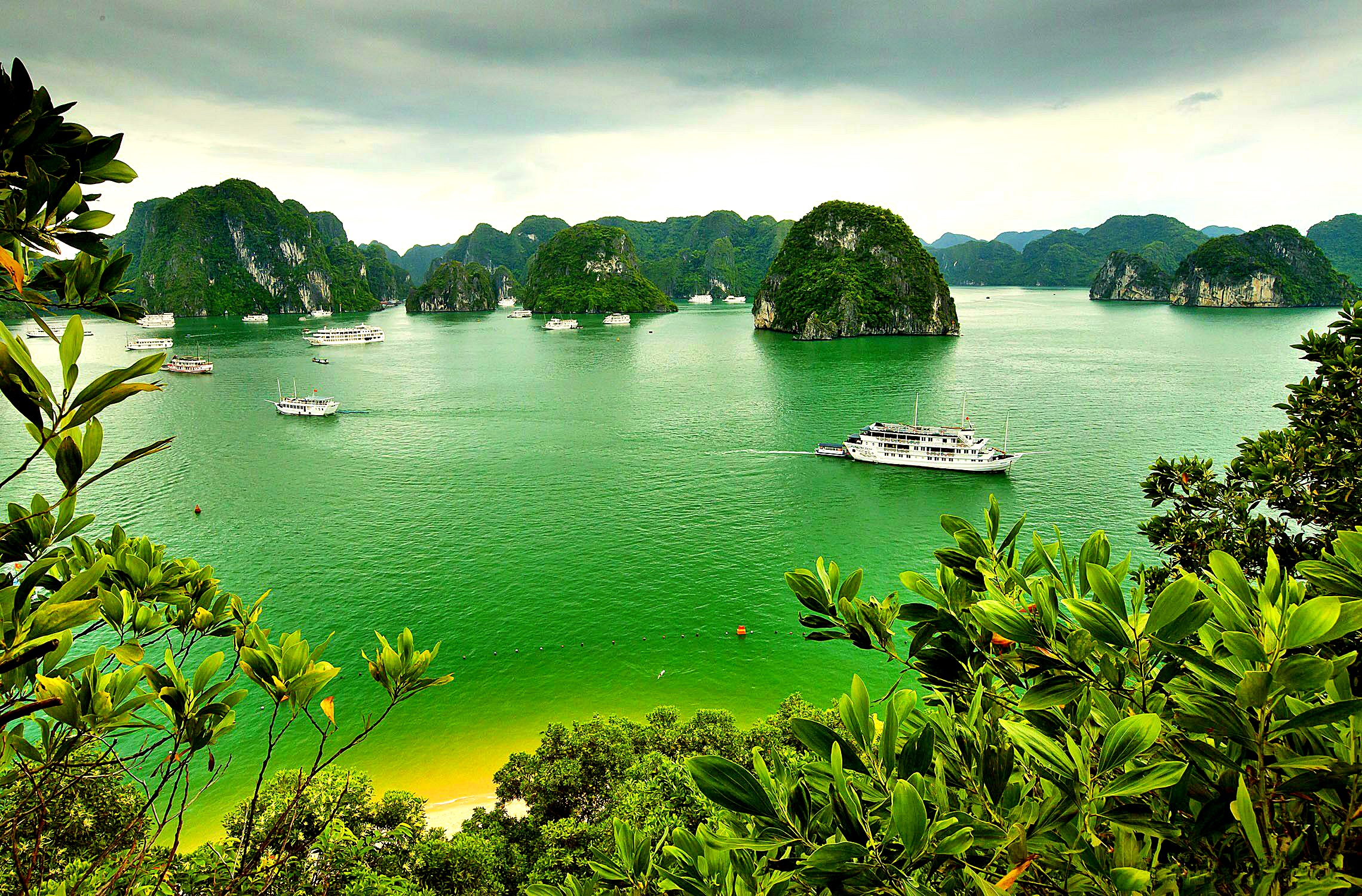 Vietnam Hd Wallpapers