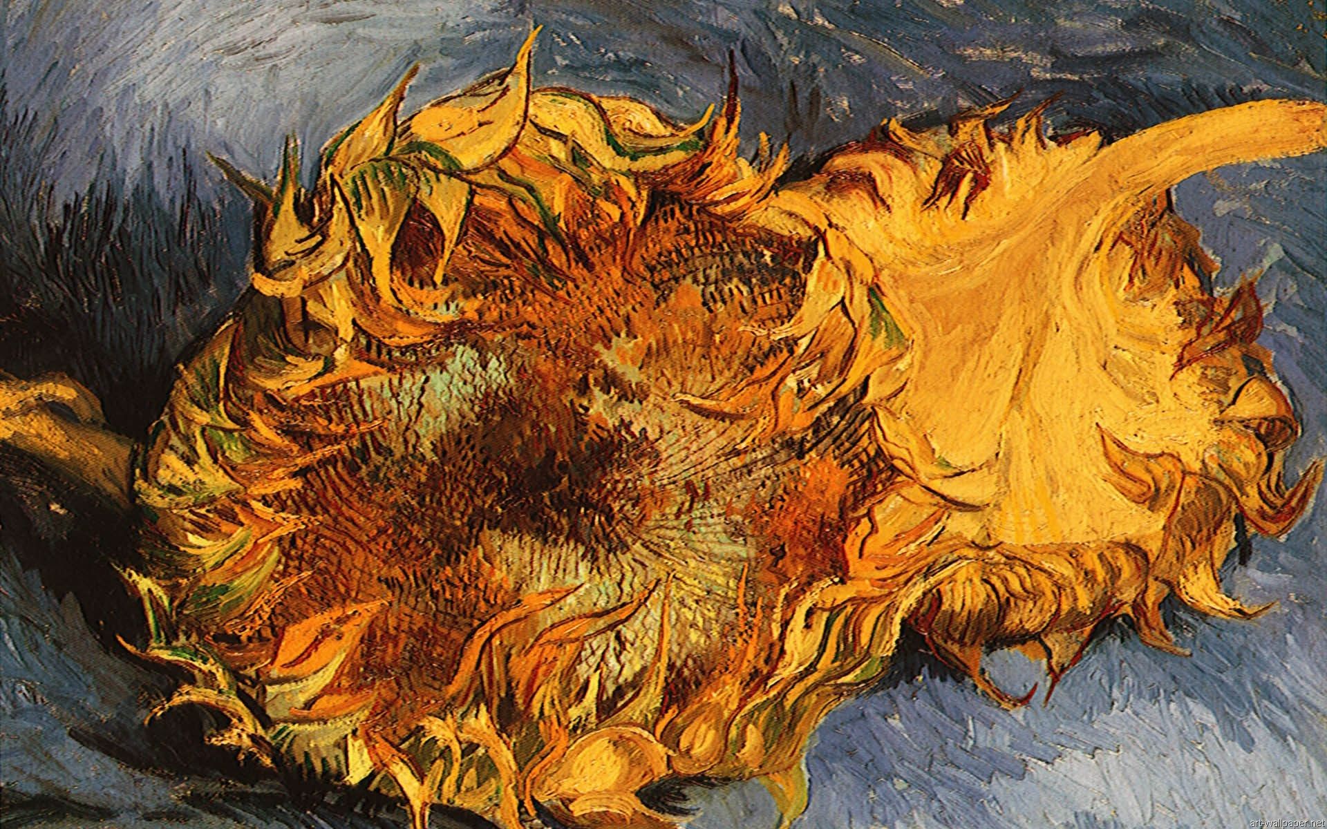 Vincent Van Gogh Sunflowers Amy Wallpapers