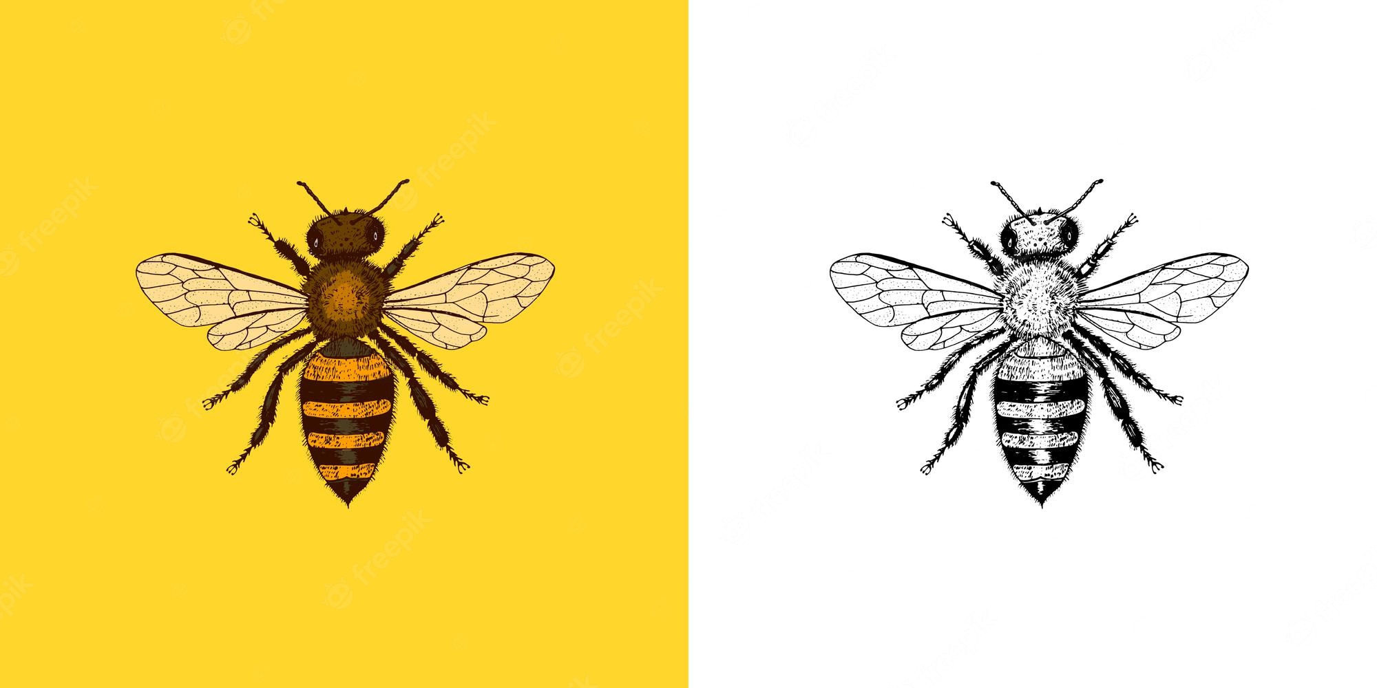 Vintage Bee Aesthetic Wallpapers