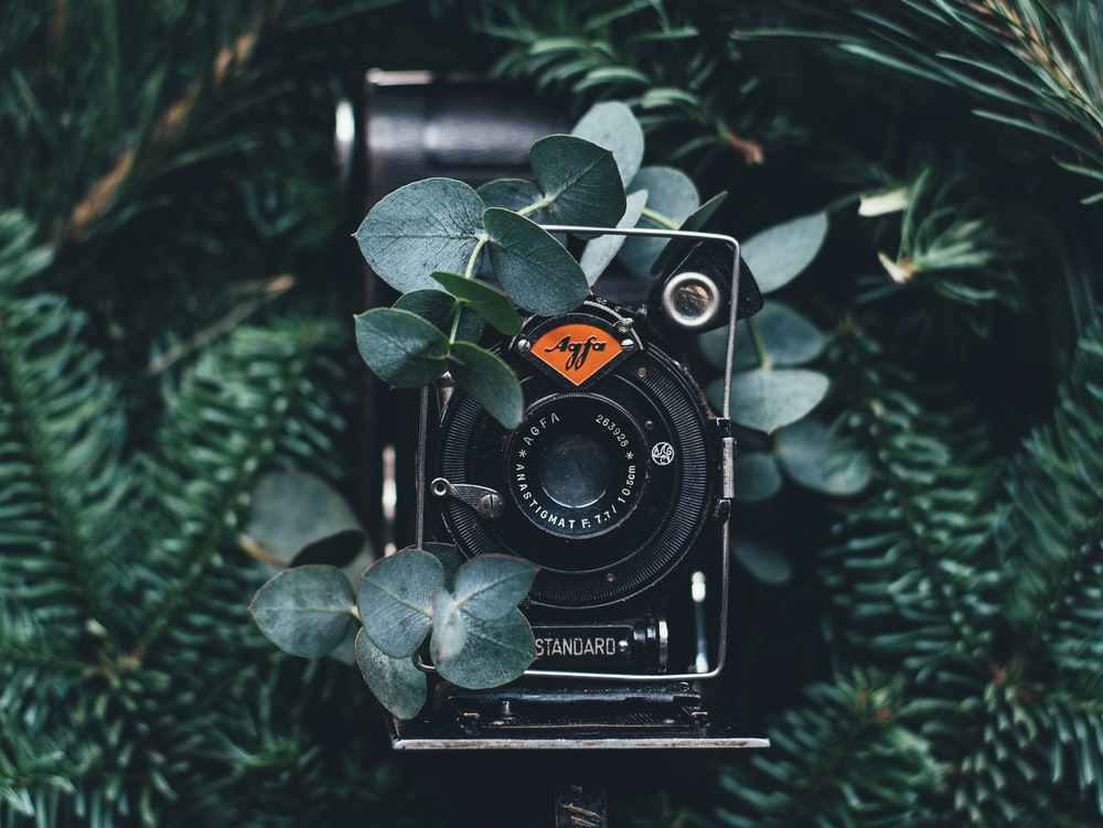 Vintage Camera Aesthetic Wallpapers