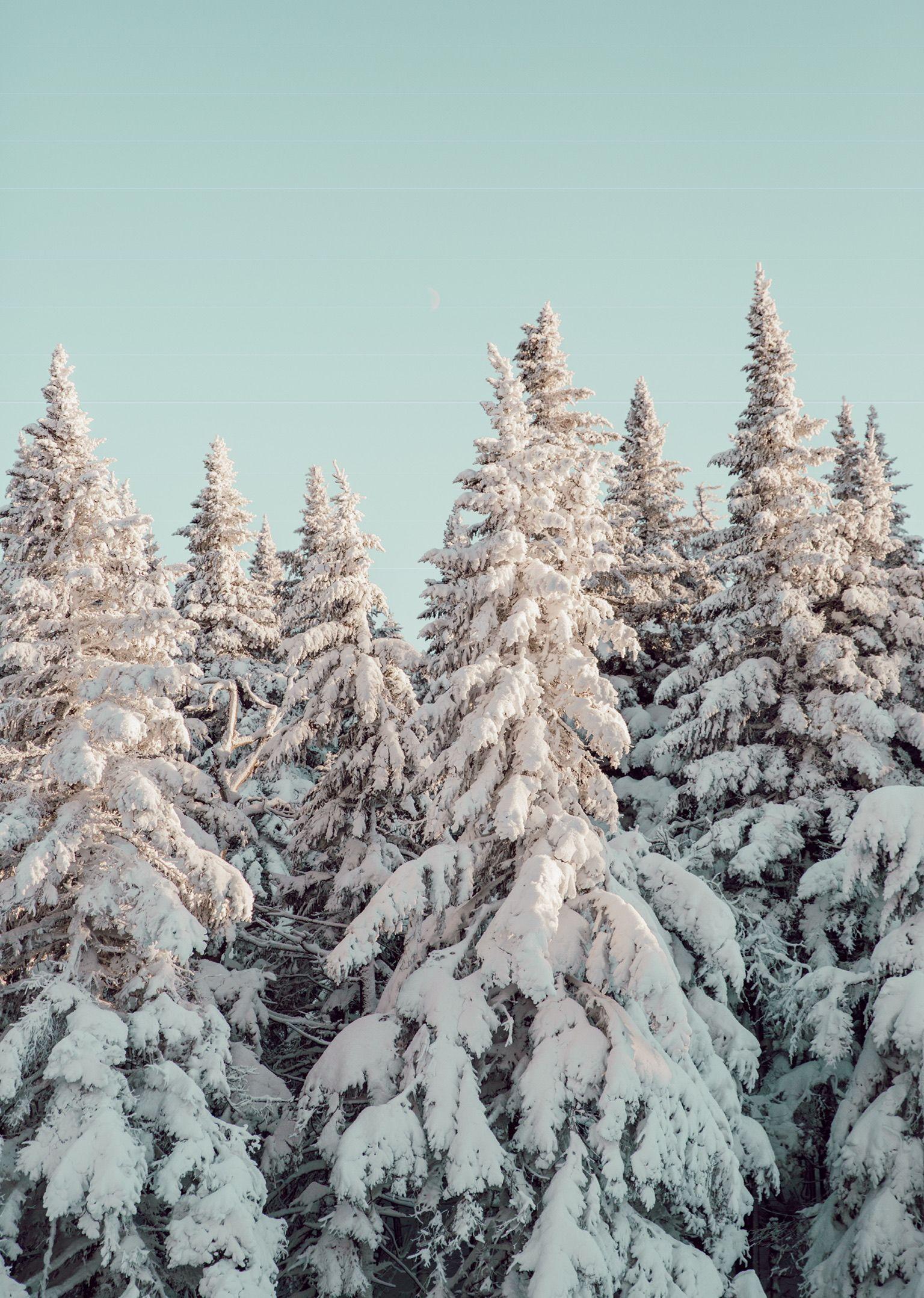 Vintage Winter Wallpapers