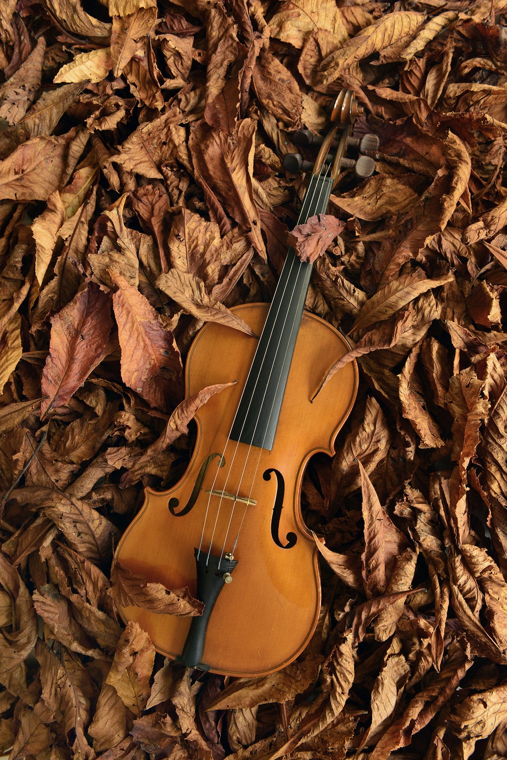 Violin For Iphone Wallpapers
