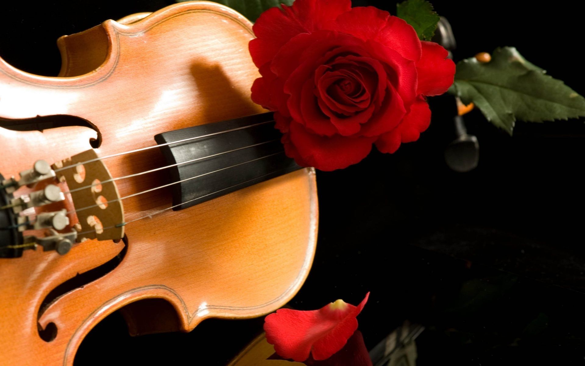 Violin With Flowers Wallpapers