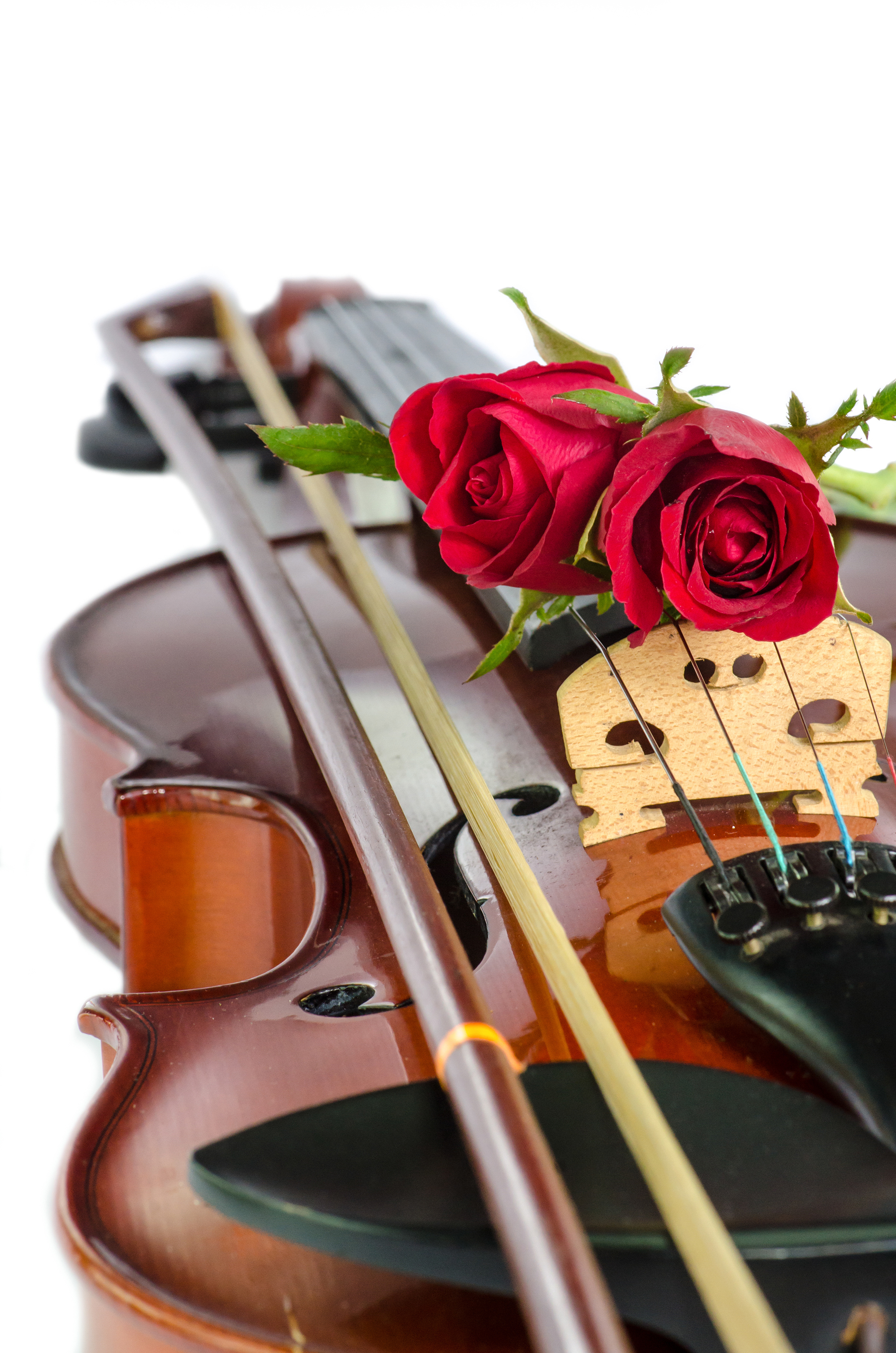 Violin With Flowers Wallpapers