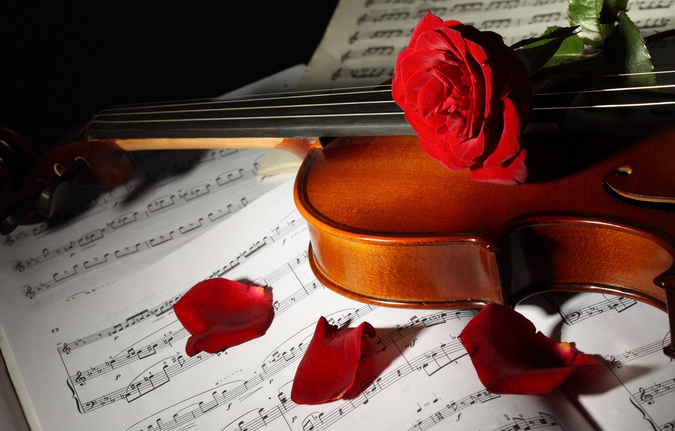 Violin With Flowers Wallpapers