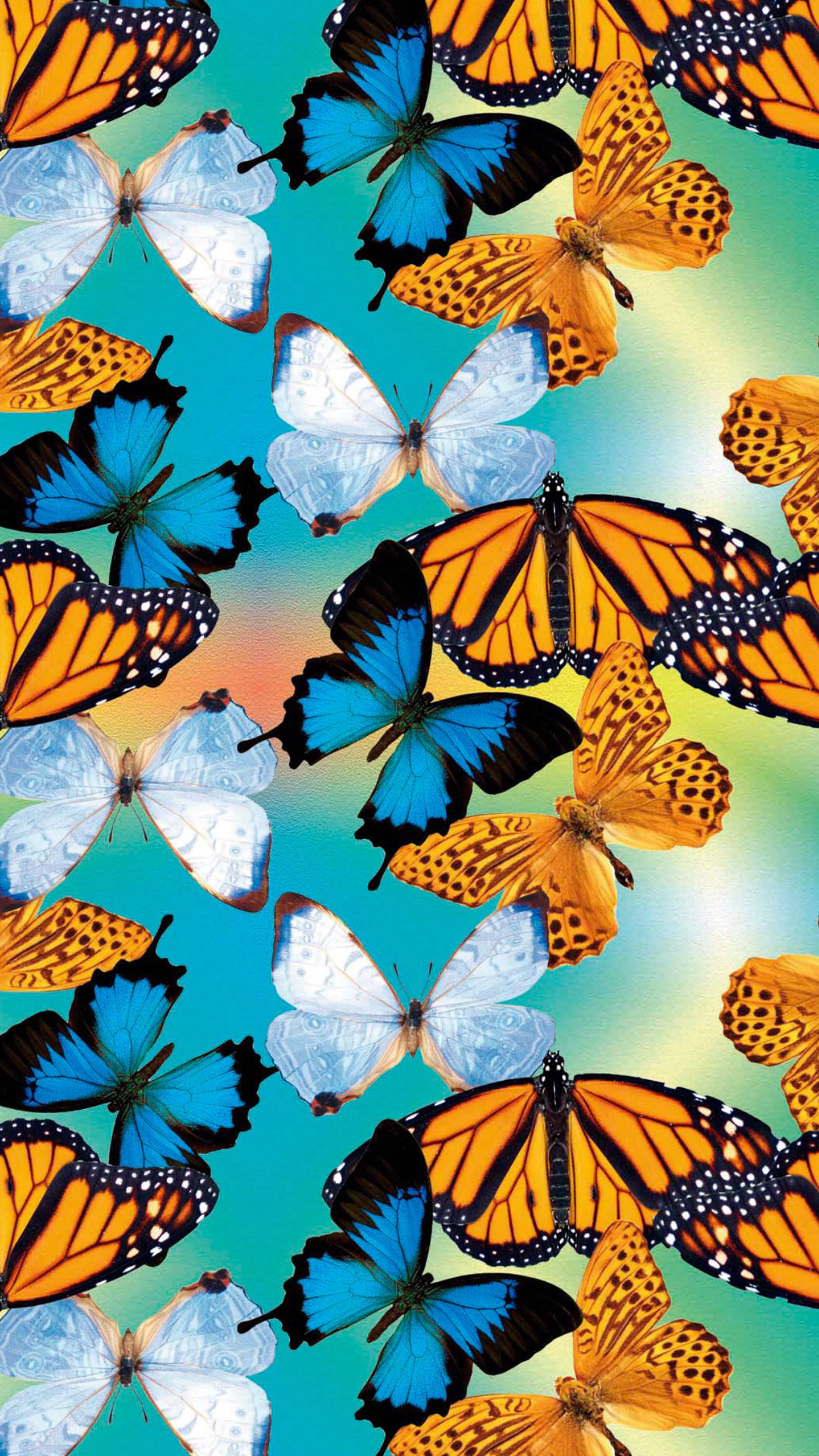 Vsco Butterfly Painting Wallpapers