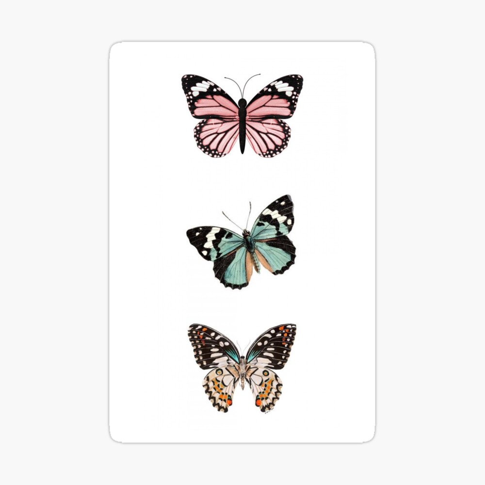 Vsco Butterfly Painting Wallpapers