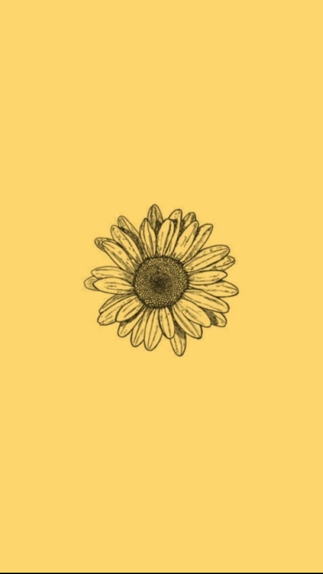 Vsco Sunflower Wallpapers