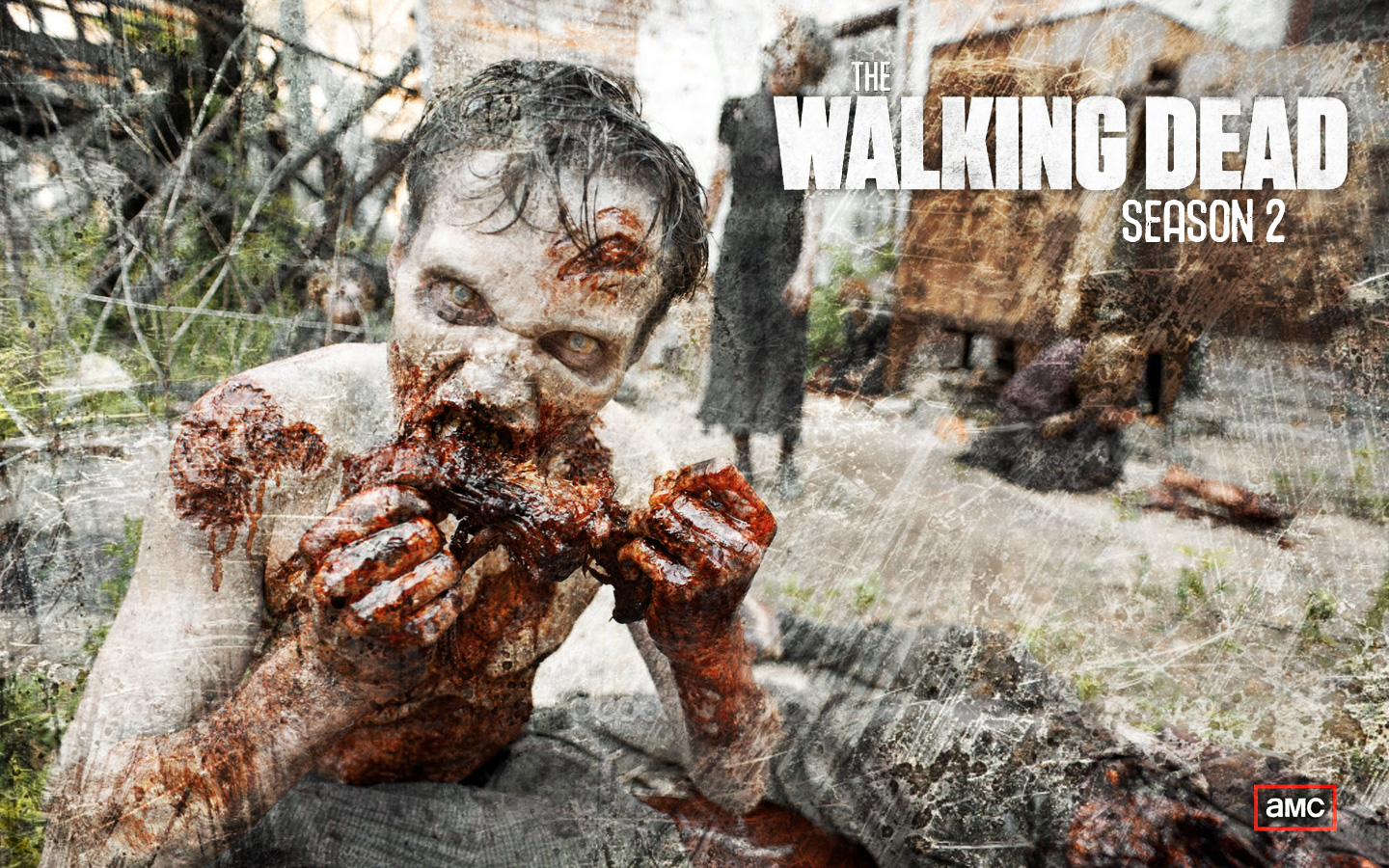 Walking Dead Zombies Wallpapers