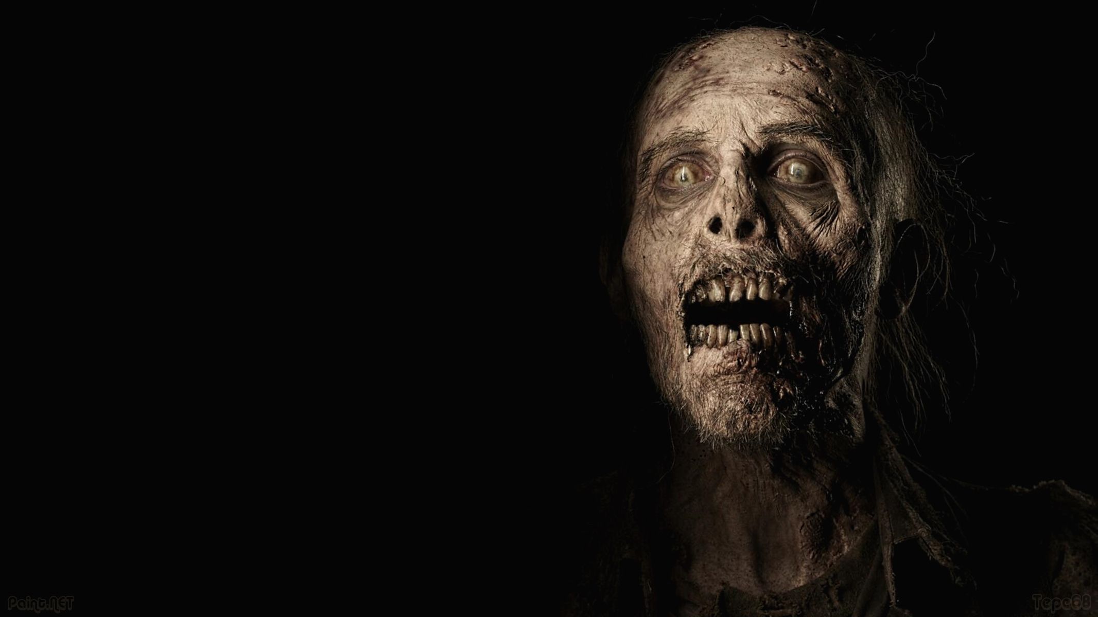 Walking Dead Zombies Wallpapers