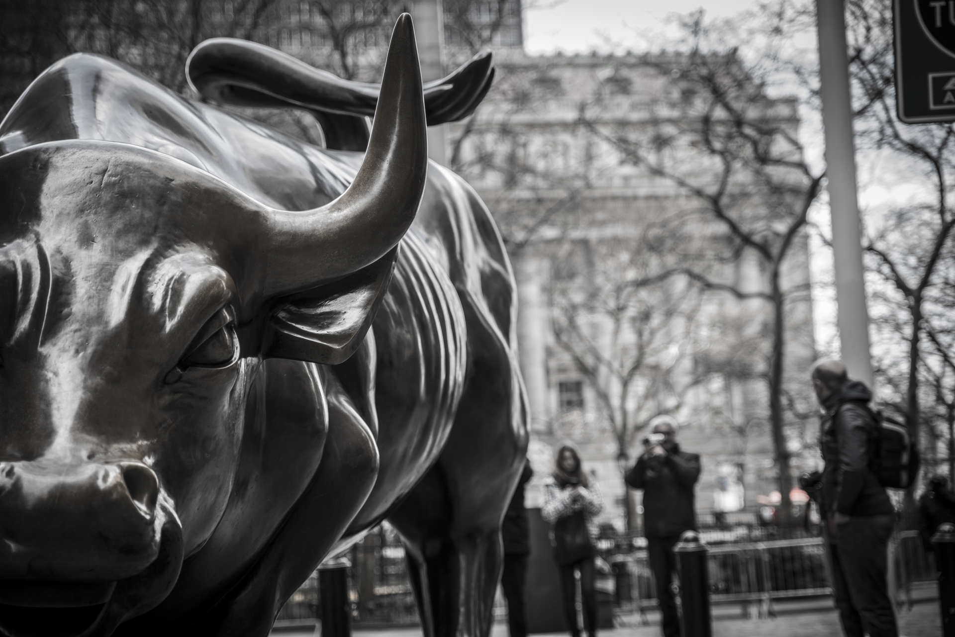 Wall Street Bull Wallpapers