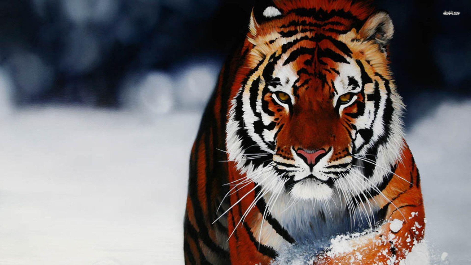 Wallpaper Bengal Tiger Wallpapers